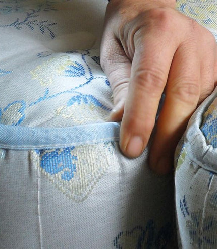 Polti Cimex naprava za odstranjevanje stenic, insektov in ščurkov,  2250 W