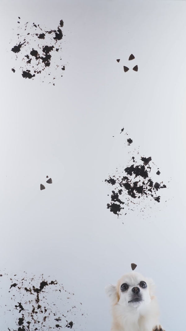 RollySteam v akciji 4